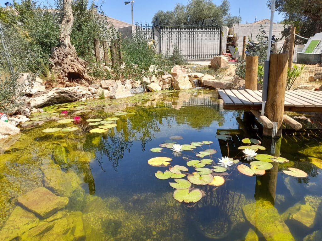 construcción e instalación de estanque en un jardín